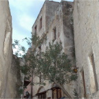 Winter 2006_07