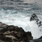 Winter 2006_09