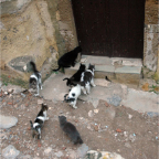 Winter 2006_12