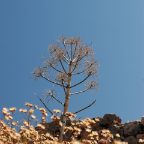 June 2009_07