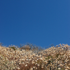 June 2009_08