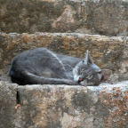 June 2009_33